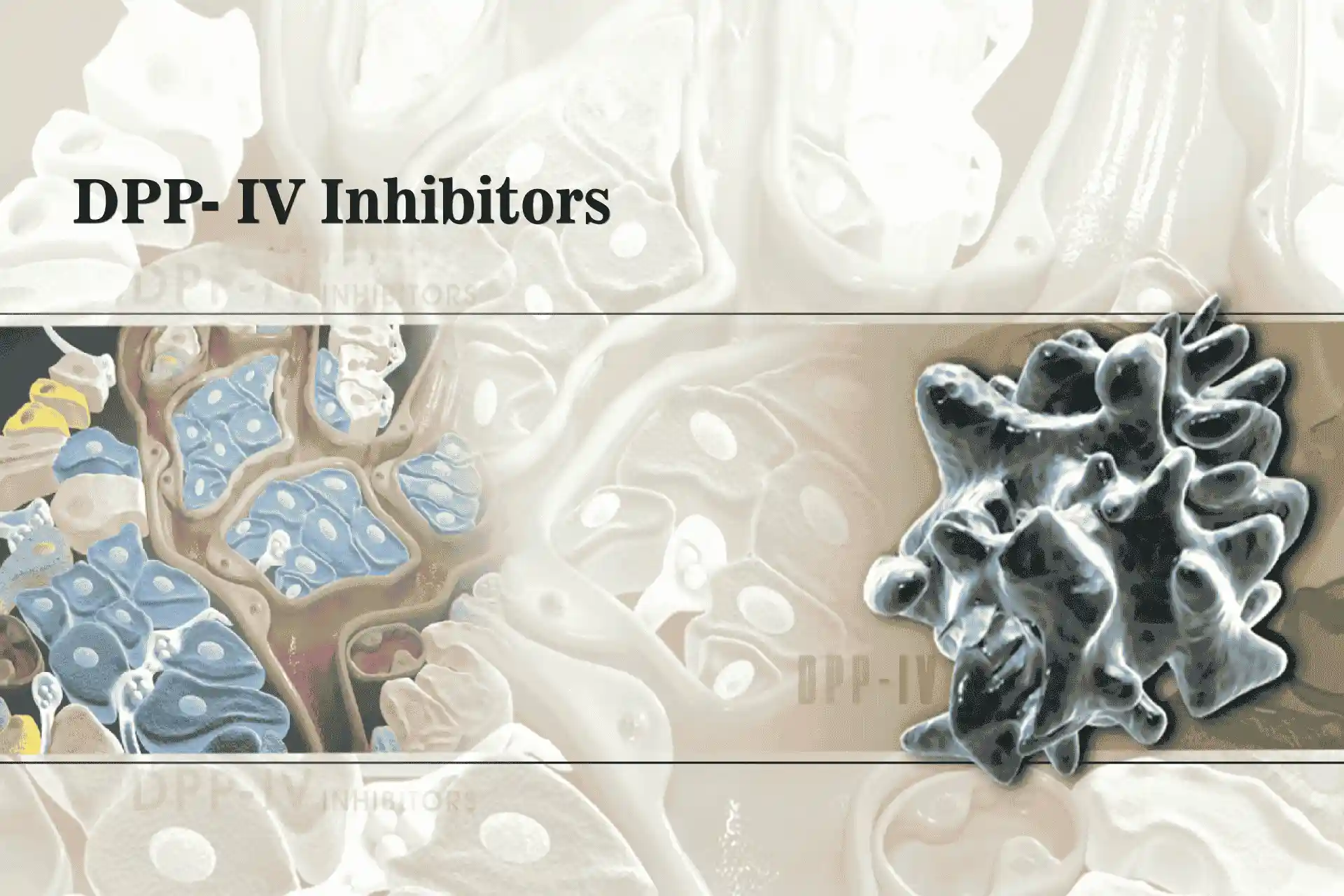DPP-4 Inhibitors